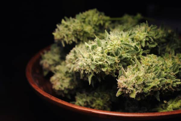 cannabis buds in a bowl on black background, candy jack strain