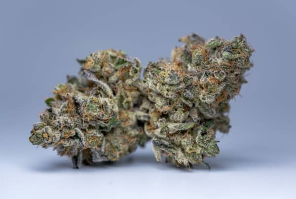 cannabis flower macro, crazy glue strain
