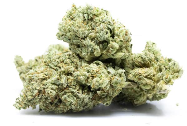 cannabis macro isolated on white, white truffle strain