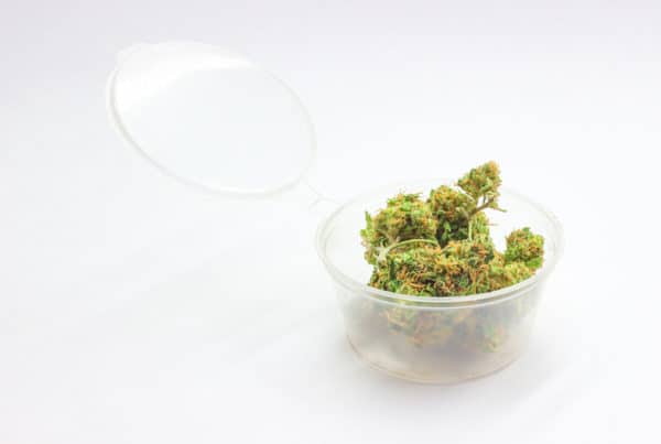 cannabis buds in a jar isolated on white, white gummy weed strain