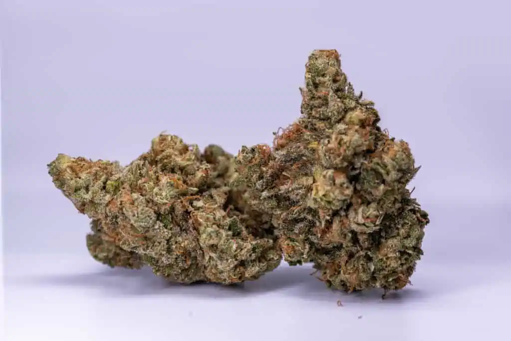 cannabis flower on purple background, berry punch strain