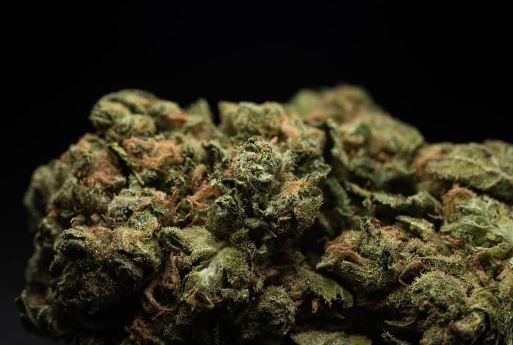 close up of a macro of cannabis bud, bio chem strain