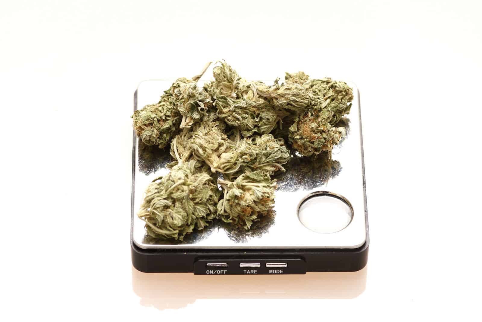How to Pick the Right Weed Scale