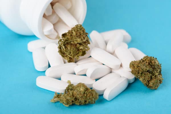 white pills and cannabis buds, Percocet and marijuana