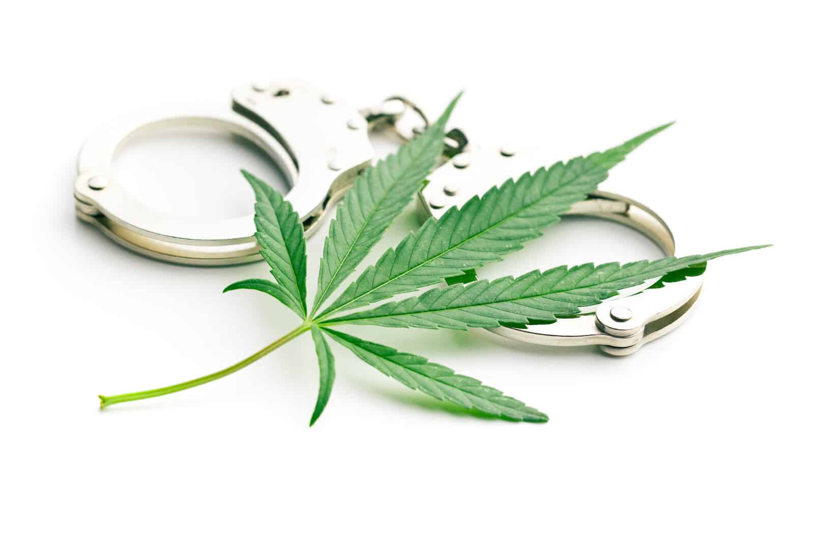 cannabis leaf on top of handcuffs, Biden pardons federal cannabis possession convictions