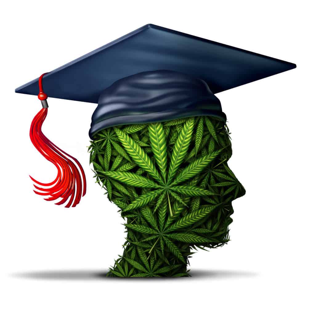 cannabis school