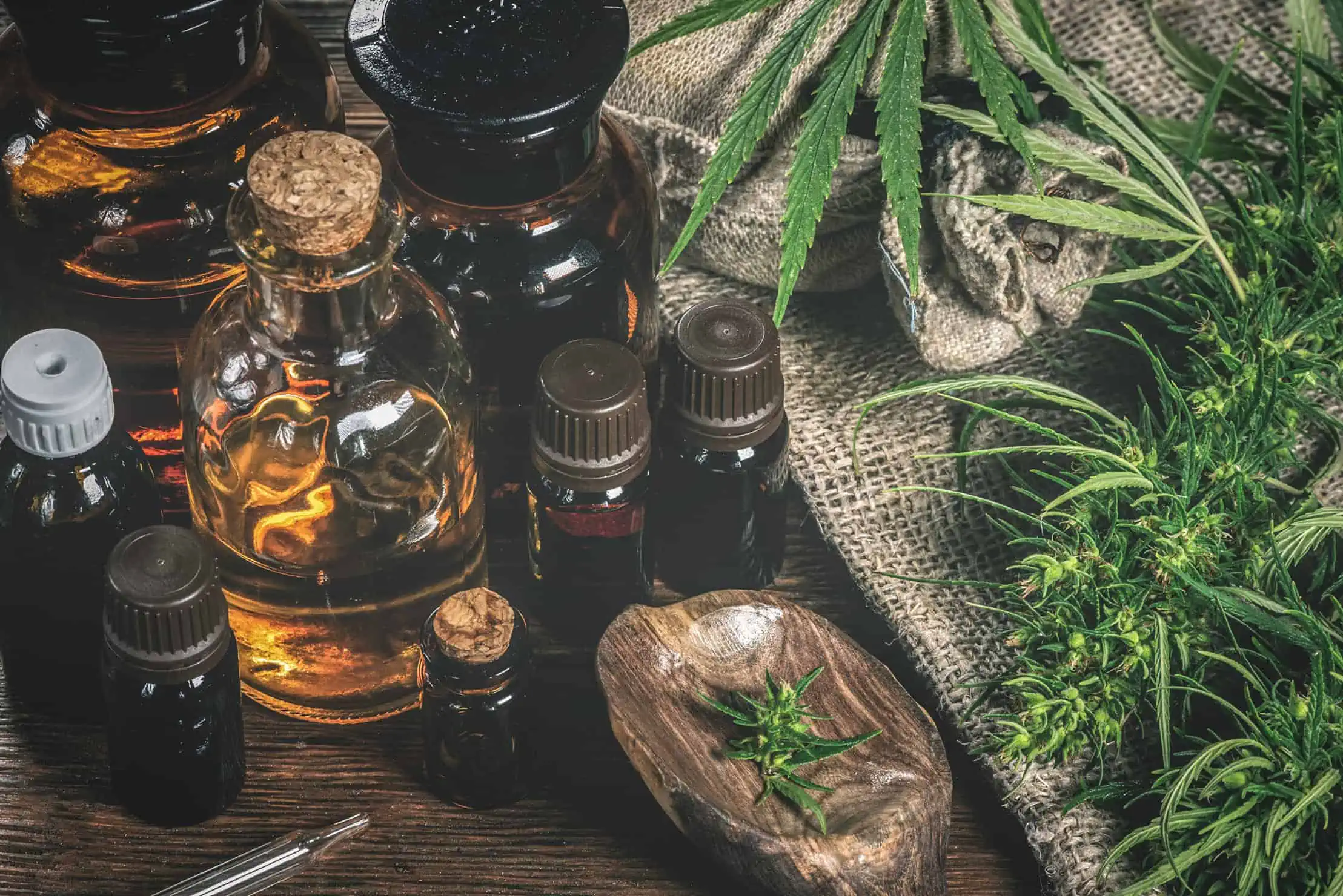 Want to Become a Cannabis Sommelier?