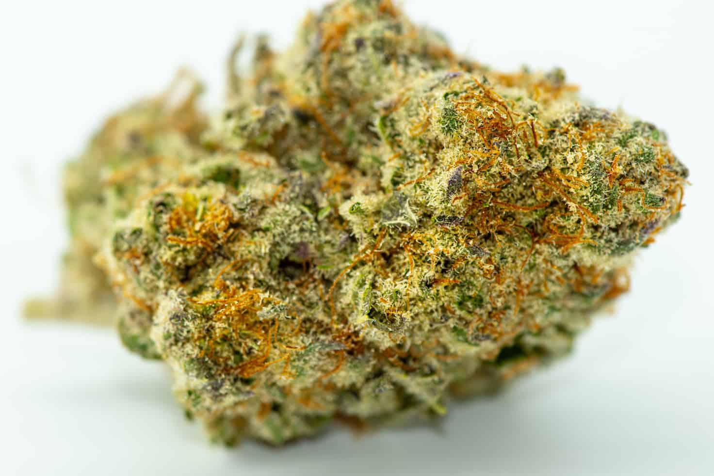 Ultimate White Widow Strain Review and Information