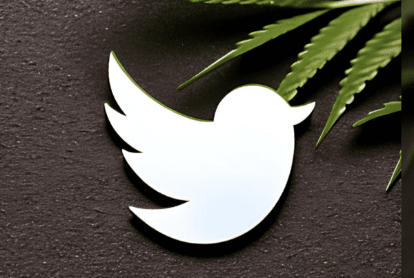 Twitter is allowing cannabis ads. Twitter logo with cannabis.