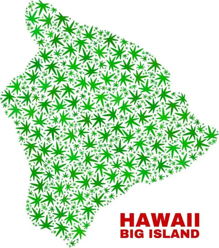 Is weed legal in Hawaii? Hawaii state map with weed leaves covering it. 