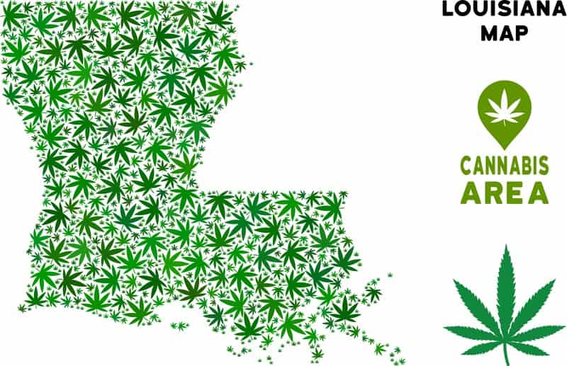 Is weed legal in Louisiana? Louisiana state map covered in weed leaves 