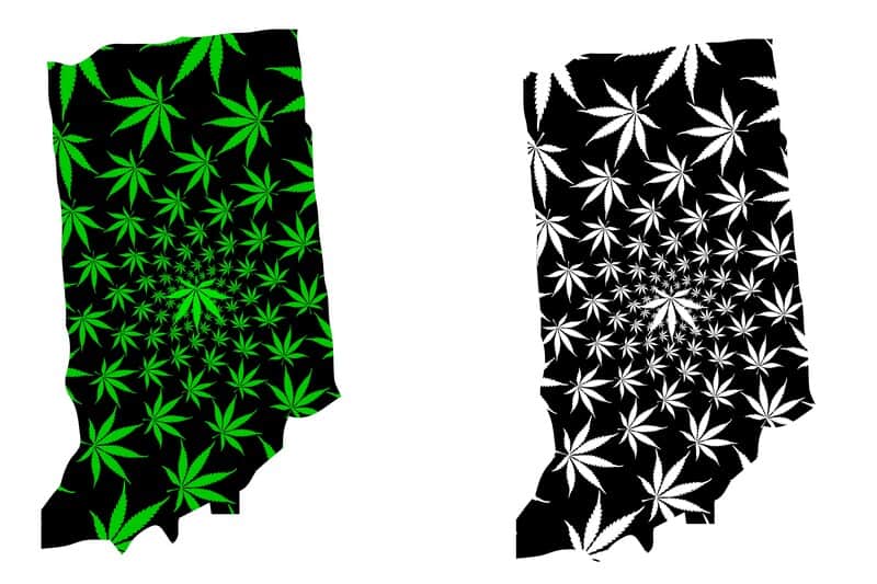 Is weed legal in Indiana? Indiana state maps with weed leaves all over them 
