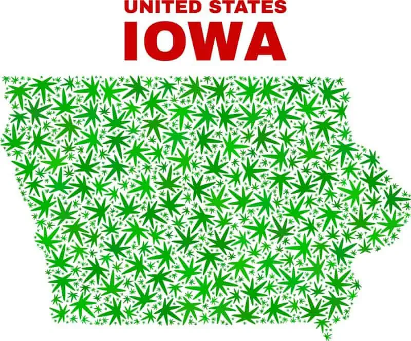 Is weed legal in Iowa? Iowa state map with weed leaves all over it. 