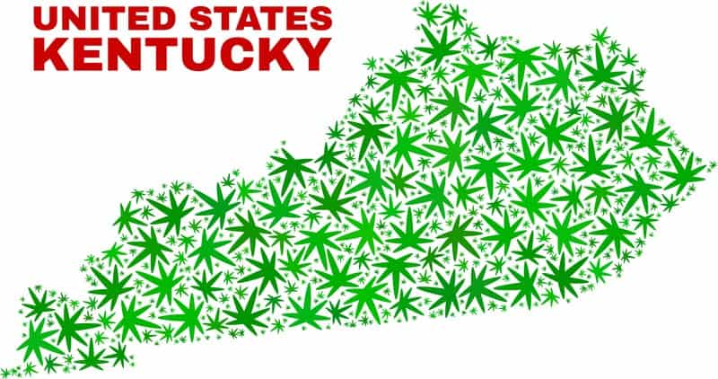 Is weed legal in Kentucky? Kentucky state map with cannabis leaves all over it. 