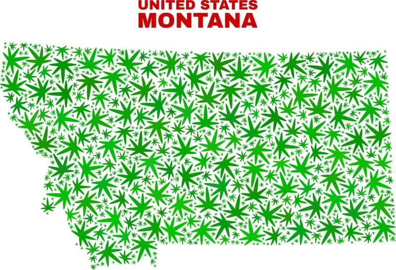 Is weed legal in Montana? Montana map with weed leaves all over it. 