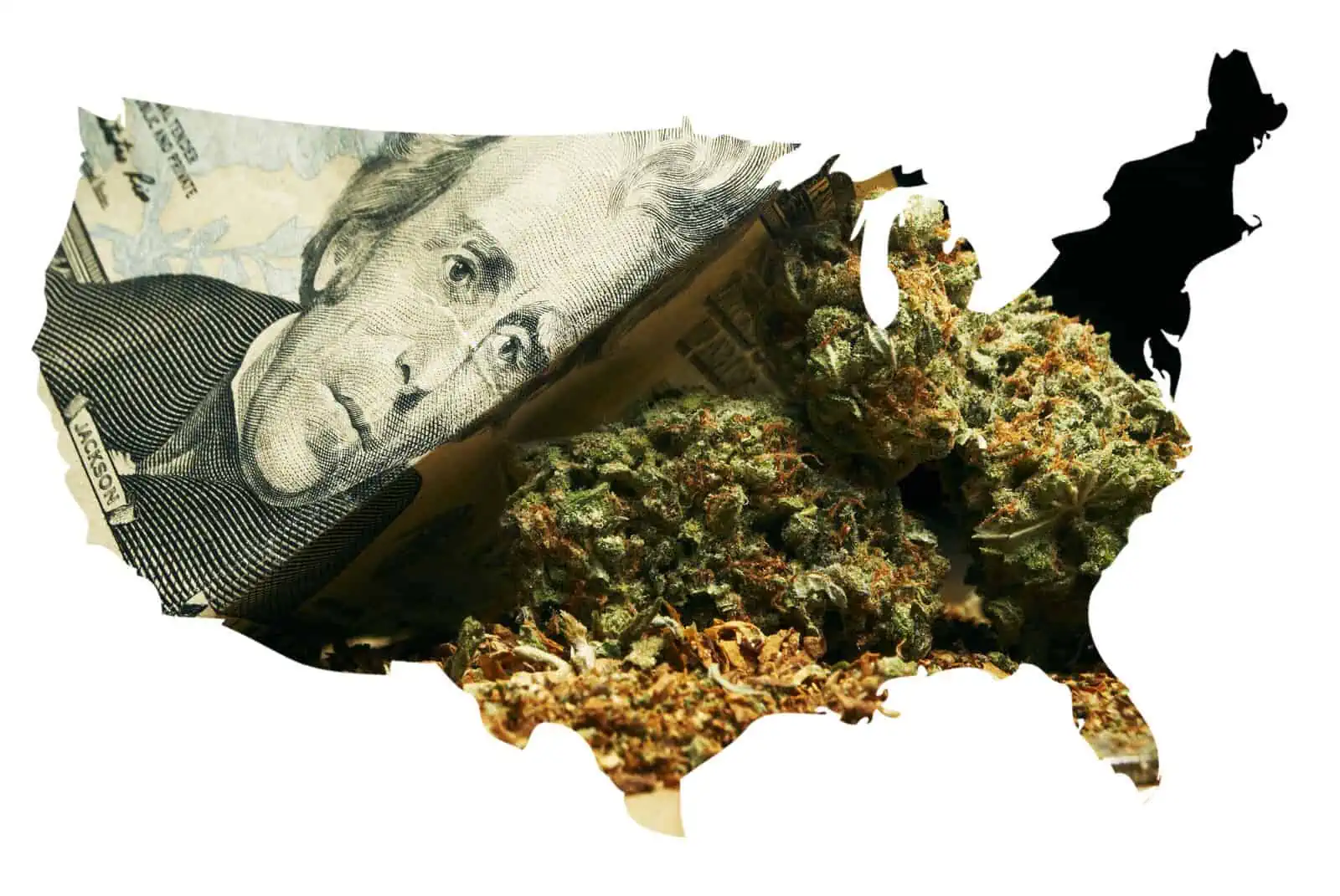 Where is Weed Legal In The US? Legalization Guide