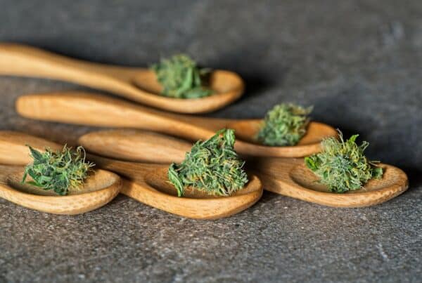 small amounts of cannabis on wooden spoons