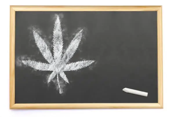 cannabis leaf on a chalkboard, oregon cannabis college