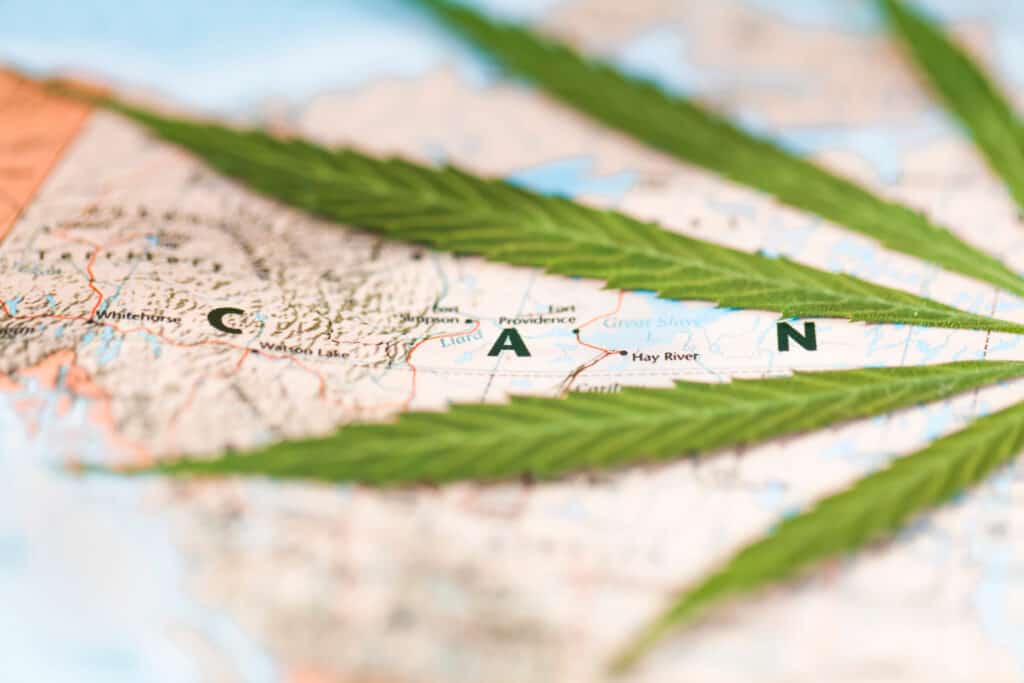 Canada map and cannabis leaf. Canada cannabis jobs and cannabis college online for training. 