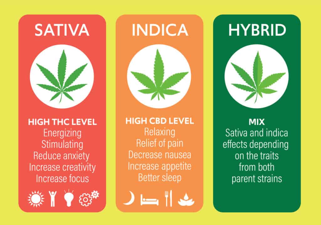 Is indica an upper or a downer?