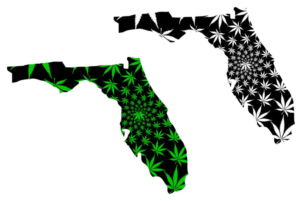 Florida cannabis college. Florida map with cannabis leaves.