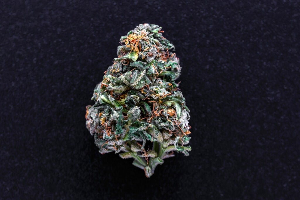 Modified grapes strain review