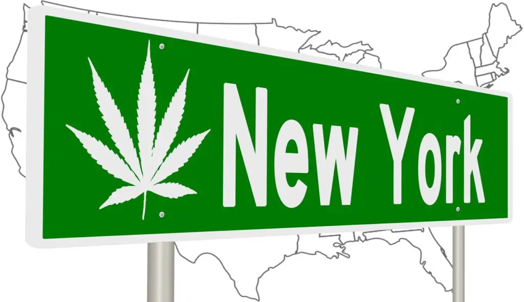 New York Cannabis College. New York sign with cannabis leaf