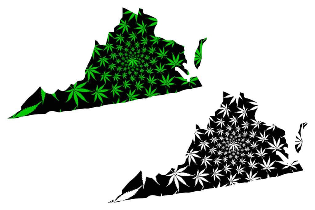 Virginia cannabis college. Virginia map with cannabis leaves on it. 