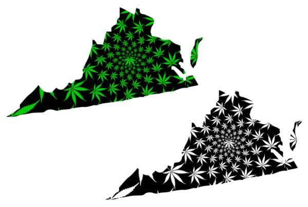 Virginia cannabis college. Virginia map with cannabis leaves