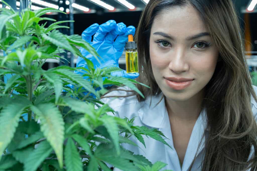 cannabis employment. Girl in a cannabis garden holding a bottle of cbd oil