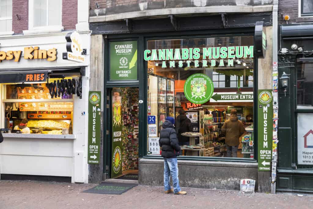 cannabis tour at the cannabis museum in Amsterdam 