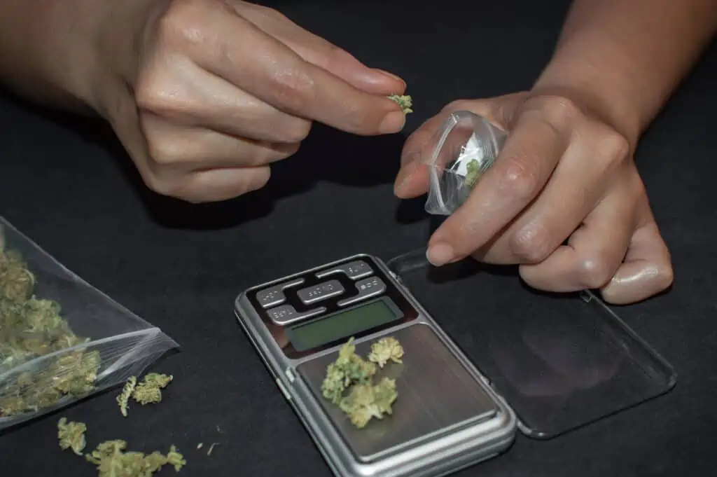 how much do weed gram prices vary