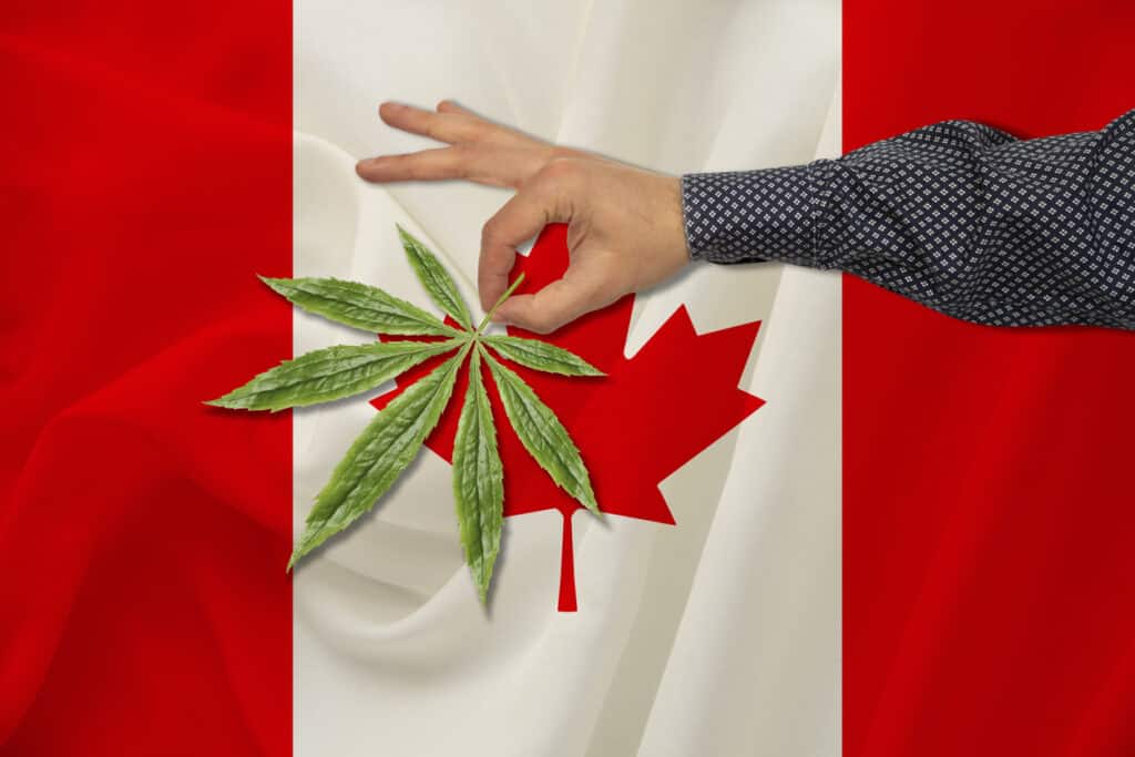 become a cannabis grower in Canada