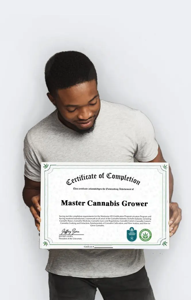 Cannabis Training University | The Online Cannabis School