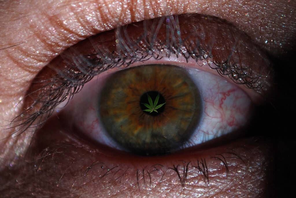 Marijuana red eyes. Close up of a red eye with a marijuana leaf in the pupil