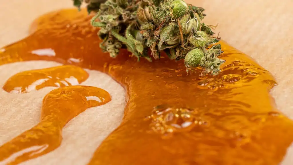 Best ways to smoke marijuana concentrates. Cannabis bud on top of cannabis oil. 