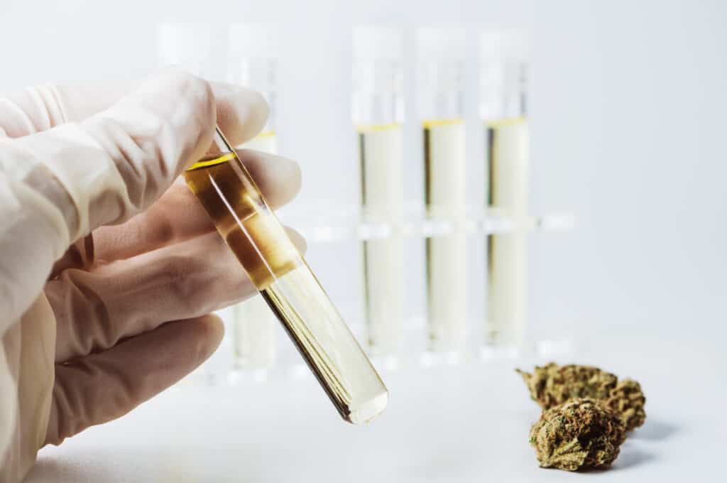 cannabis lab testing for contaminants 