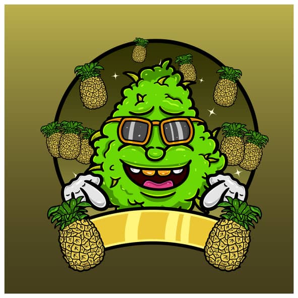 Pineapple haze strain weed. Pineapple with sunglasses on and cannabis