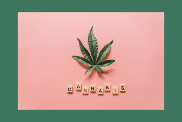 cannabis leave with the word cannabis spelled out on pink, cannabis expo events