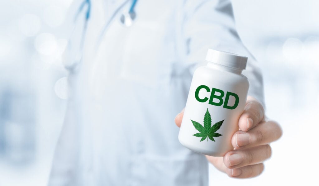 Ancillary cannabis companies. CBD bottle in a doctors hand