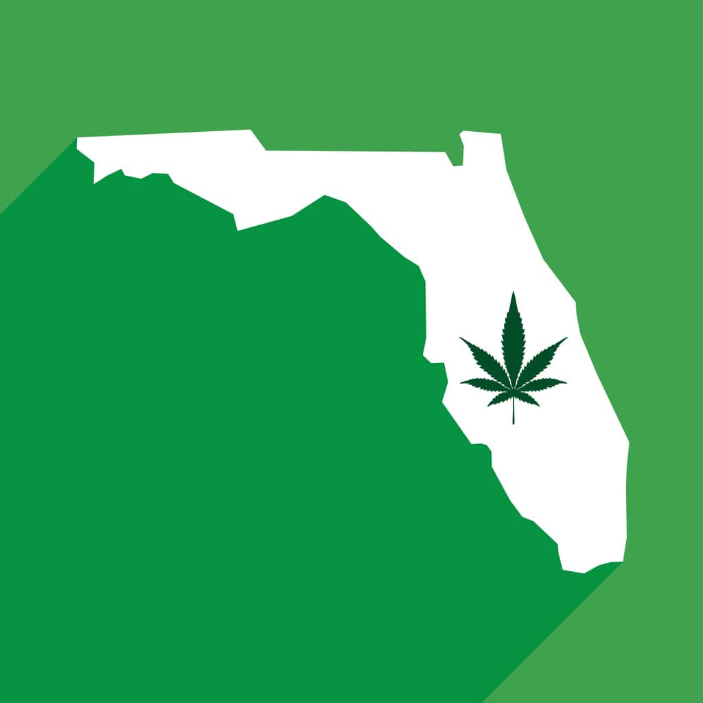Florida Cannabis Laws Ultimate Guide