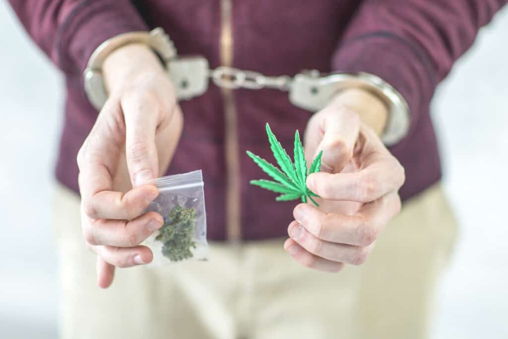 How to become a cannabis lawyer