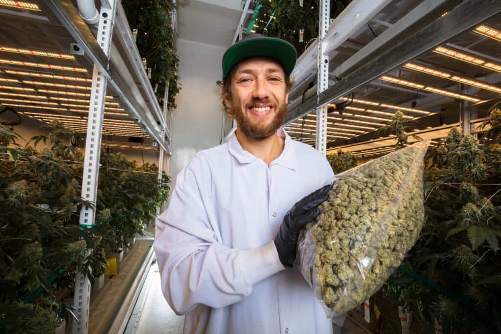 man growing weed indoors in California 