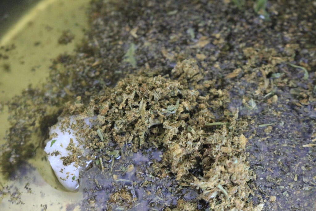 decarb kief. cannabis being decarboxylated in coconut oil 
