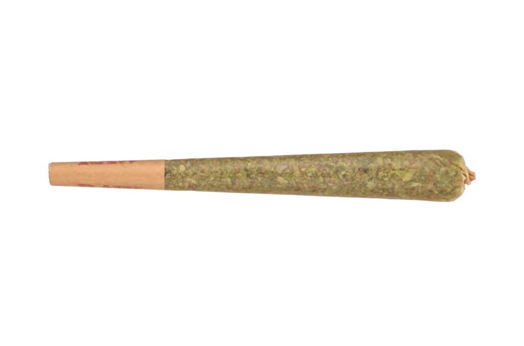 How to make a pre-rolled joint. Pre roll Joint of cannabis 