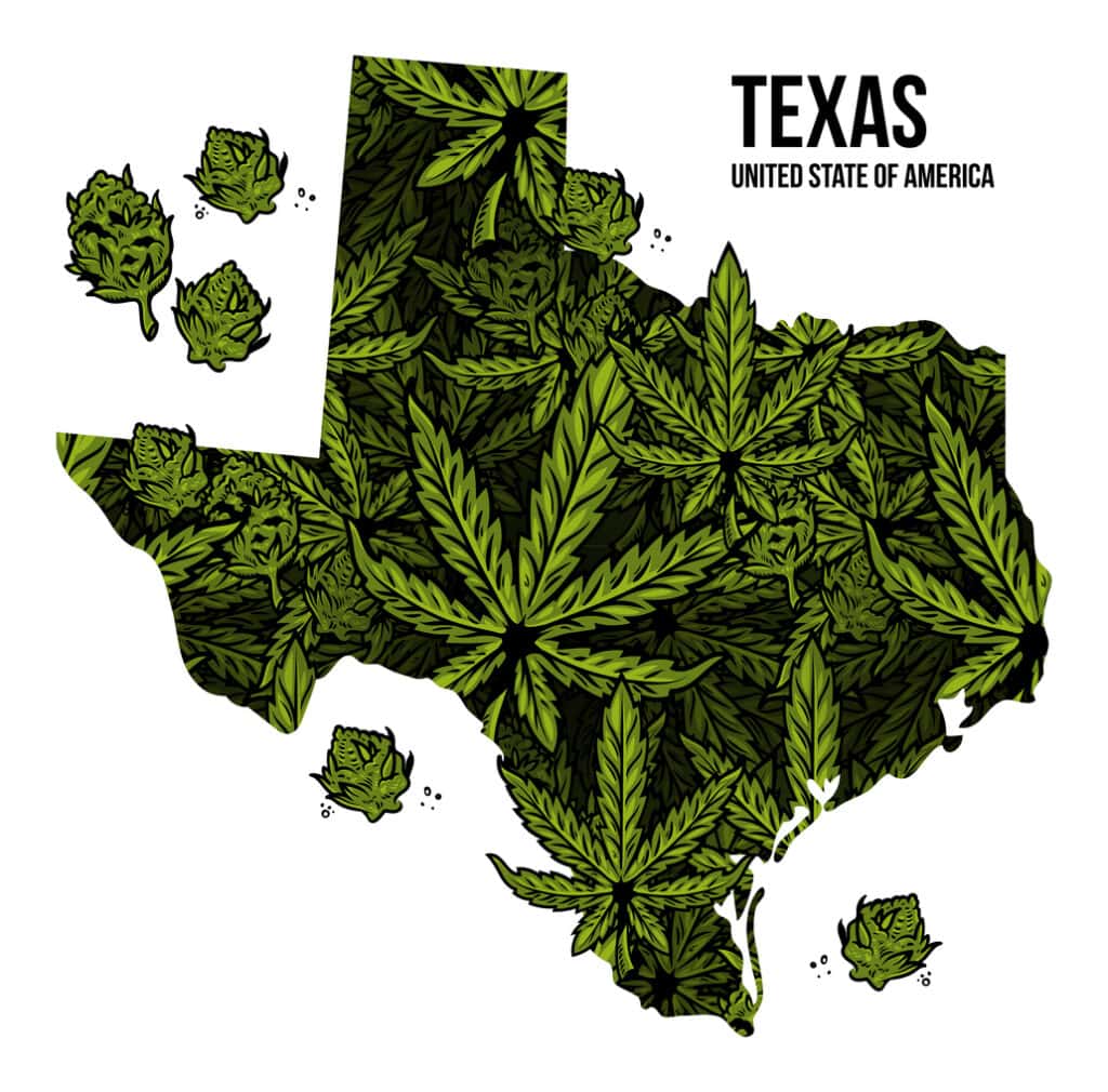 Texas cannabis college and state map with cannabis leaves. 