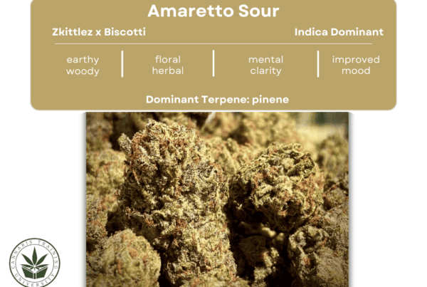Amaretto sour strain buds and a table showing its effects, genetics, smell, taste, and dominate terpene.