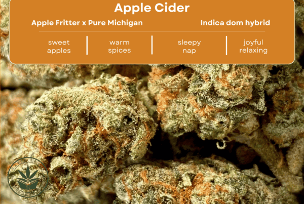 Apple cider strain close up of buds. With a table listing its effects, genetics, taste and smell.