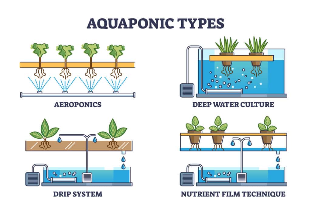 4 types of aquaponics for growing cannabis 