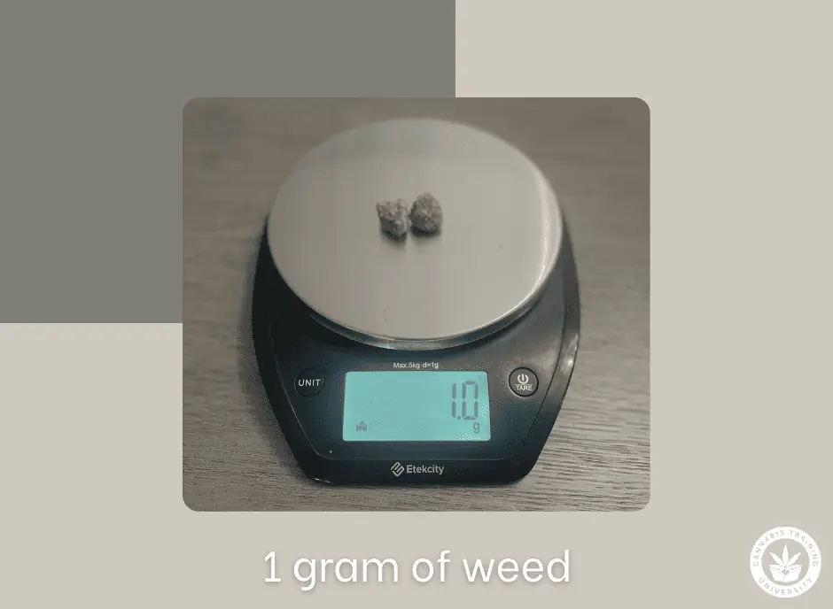 1 gram of weed measured out on a digital scale. 